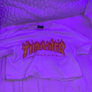 Cropped thrasher